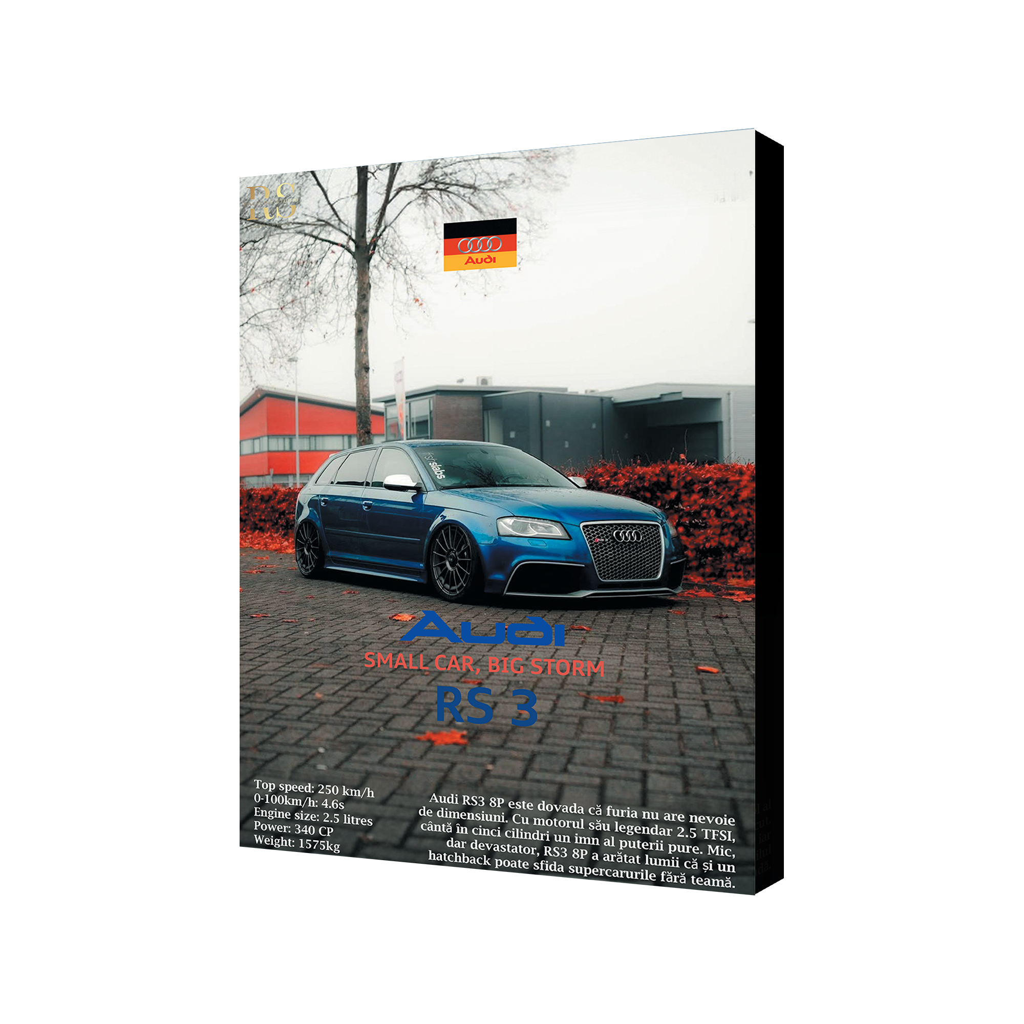 🇩🇪 Audi RS3 8P