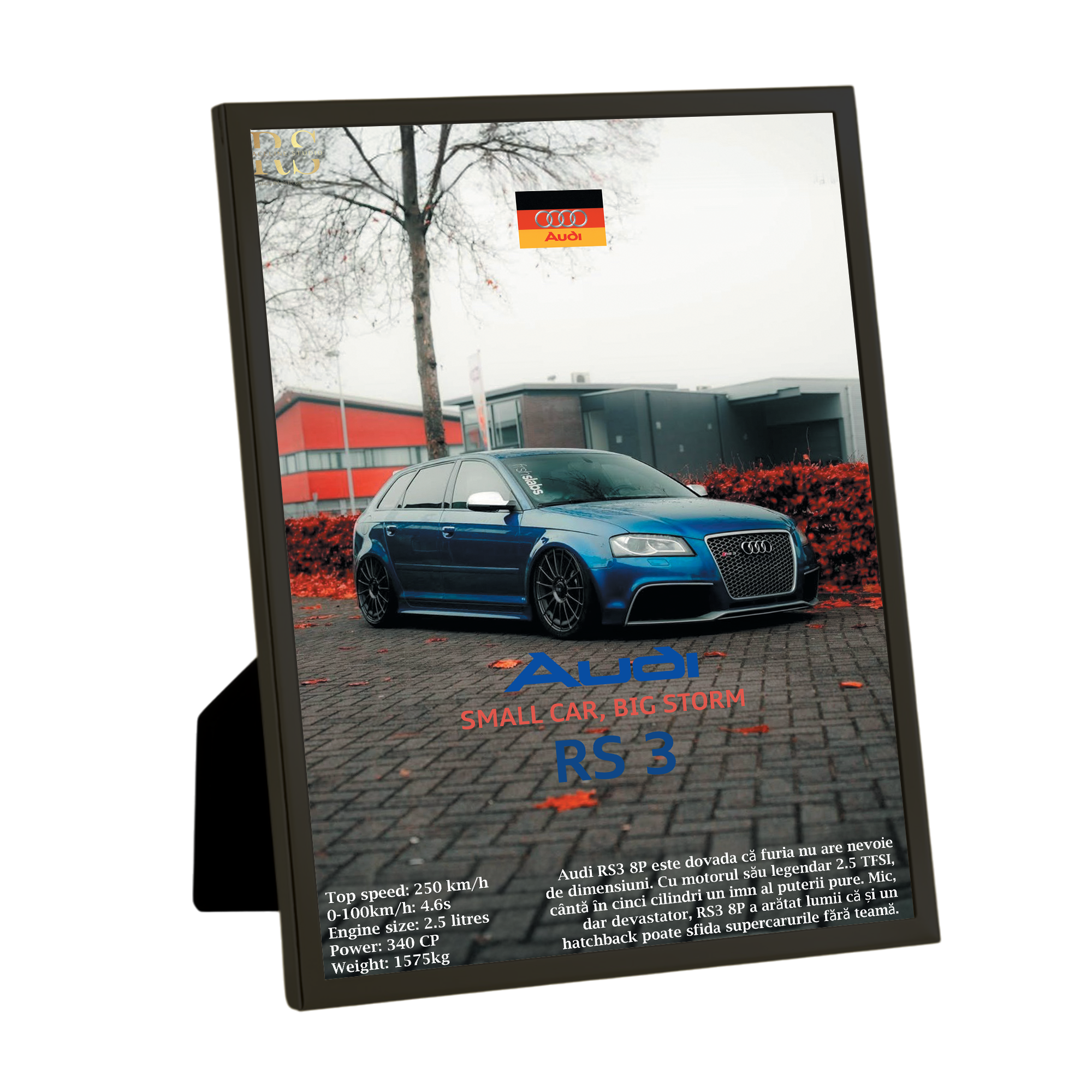 🇩🇪 Audi RS3 8P