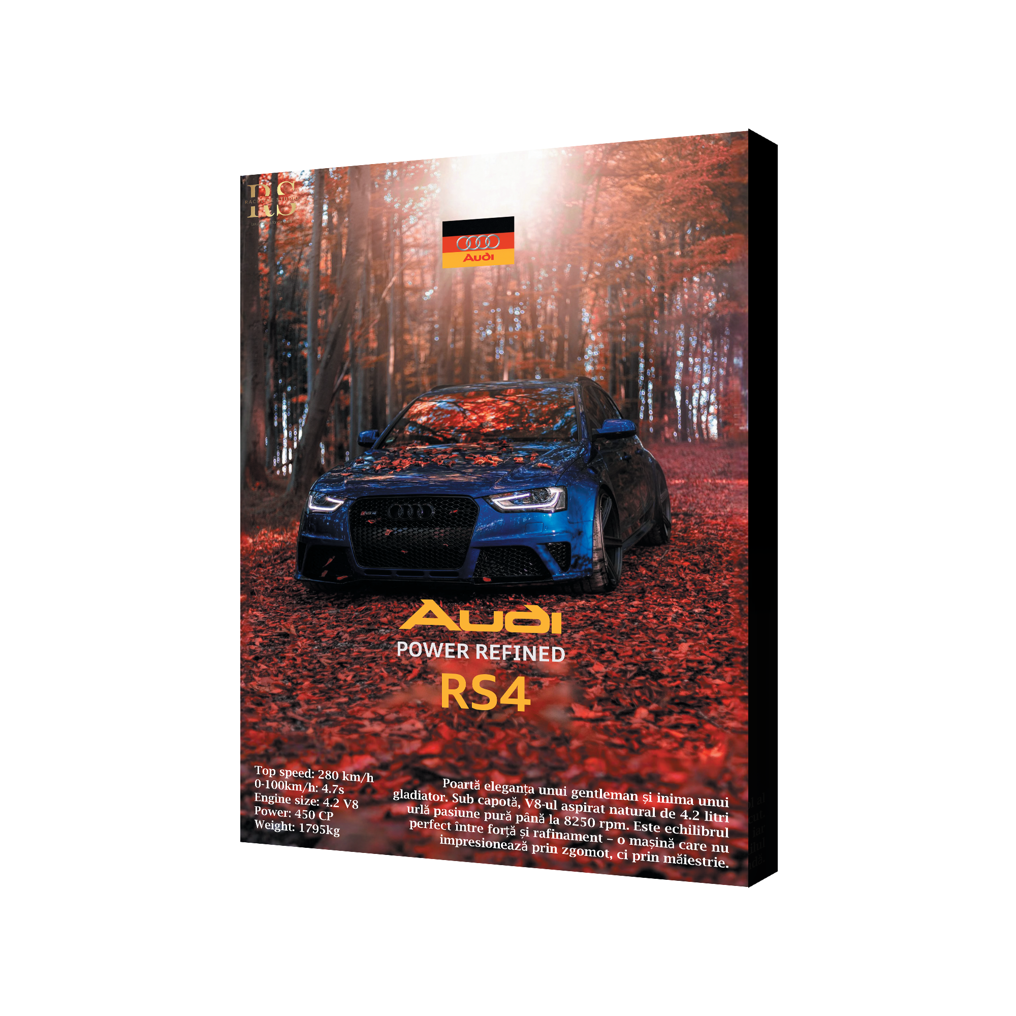 🇩🇪 Audi RS4 B8.5